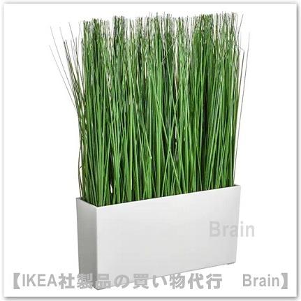 イケア（IKEA） FEJKA/フェイカ 人工観葉植物 鉢カバー付き42 cm