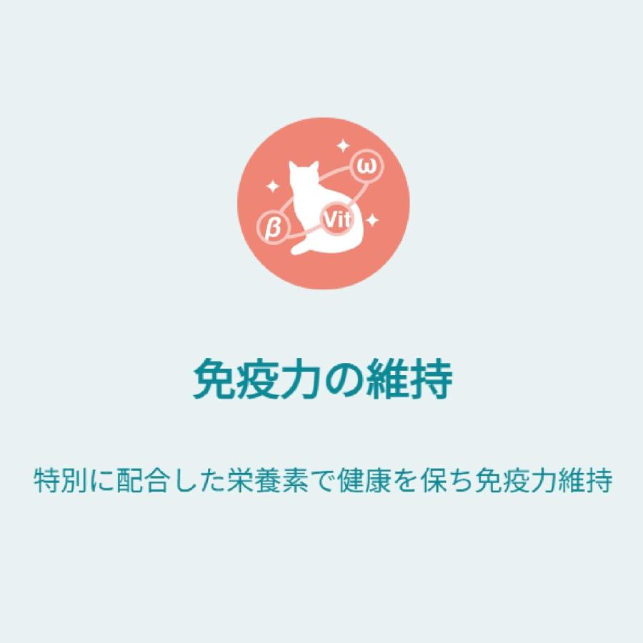 32個セット　ピュリナ ワン キャット おやつ 健康免疫サポート 免疫ケア まぐろフレーク入りまぐろゼリー ５６ｇ_3