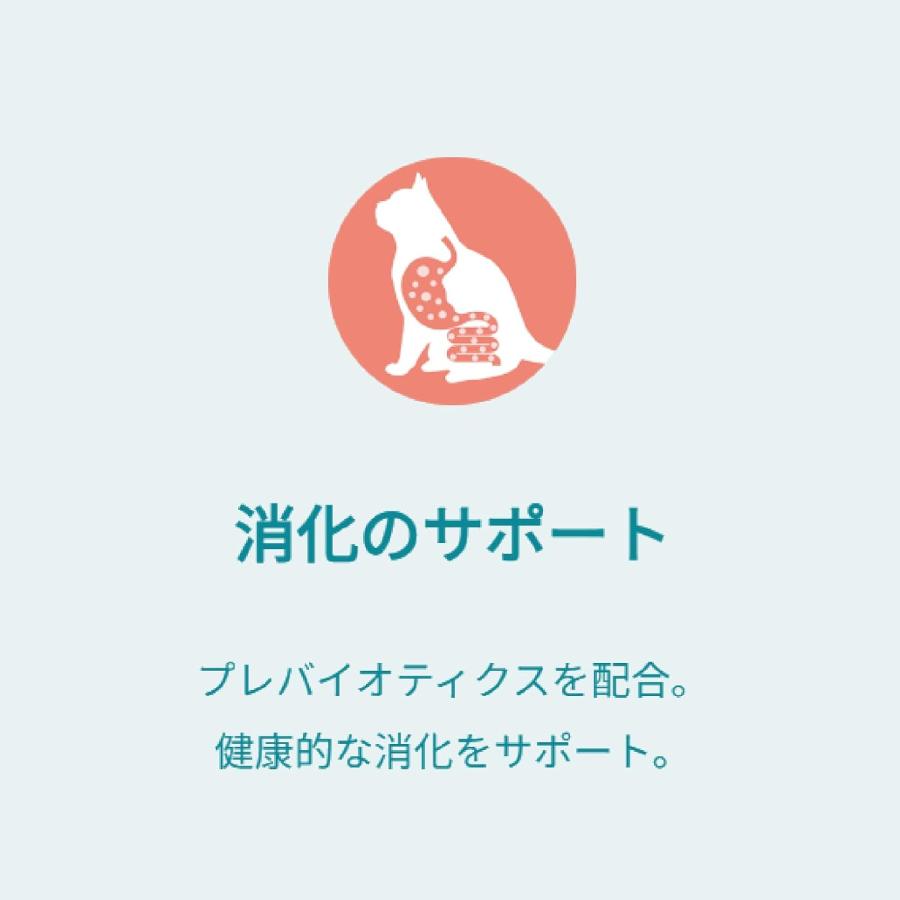 32個セット　ピュリナ ワン キャット おやつ 健康免疫サポート 免疫ケア まぐろフレーク入りまぐろゼリー ５６ｇ_4