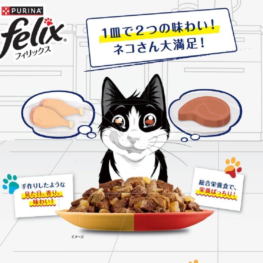 フィリックス 送料無料 フィリックス ダブルのおいしさ お肉とお魚お