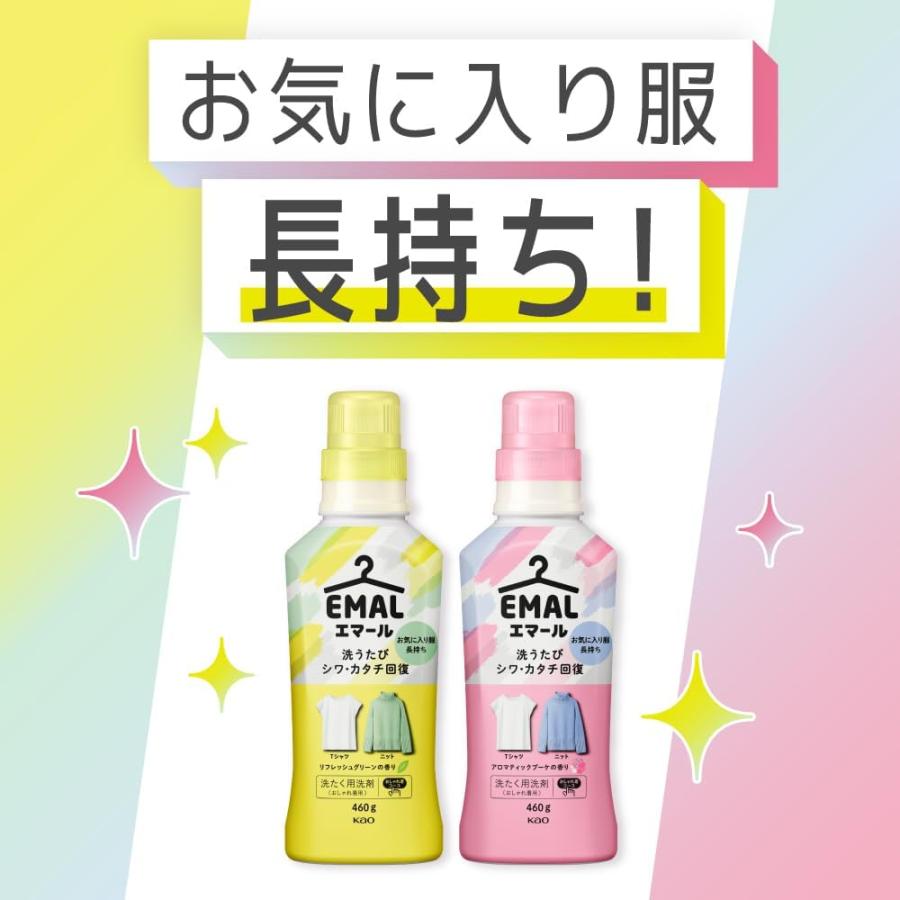 エマール 6個セット エマール 洗濯洗剤 おしゃれ着 ハリ感チャージ成分