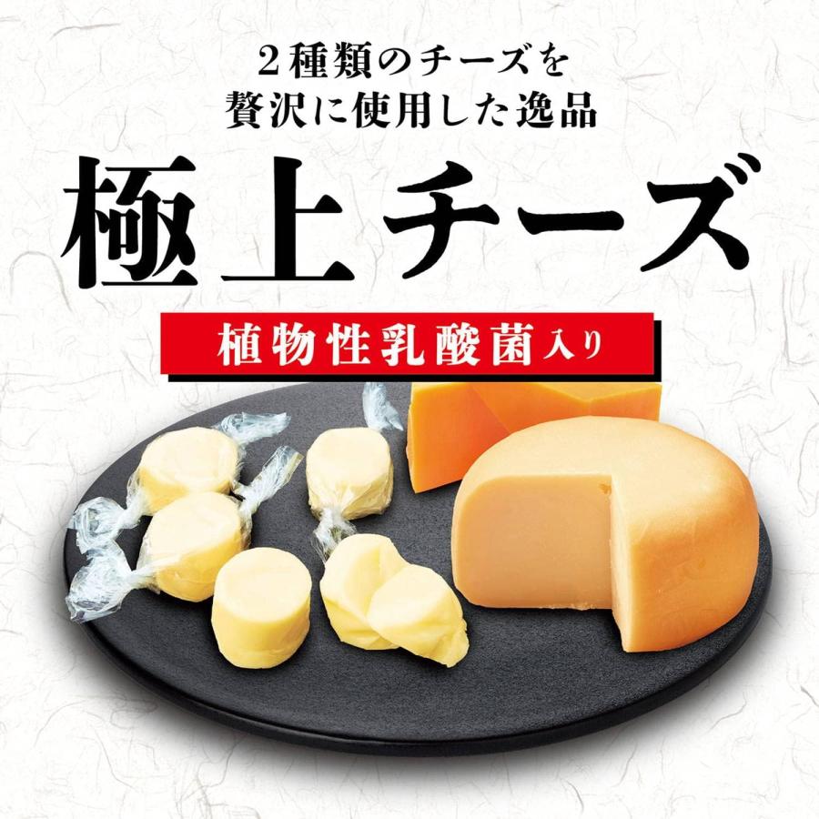 最安！6個セット　ペティオ (Petio) 極上 無添加 チーズ 乳酸菌入り 50g | 極上シリーズ | 03