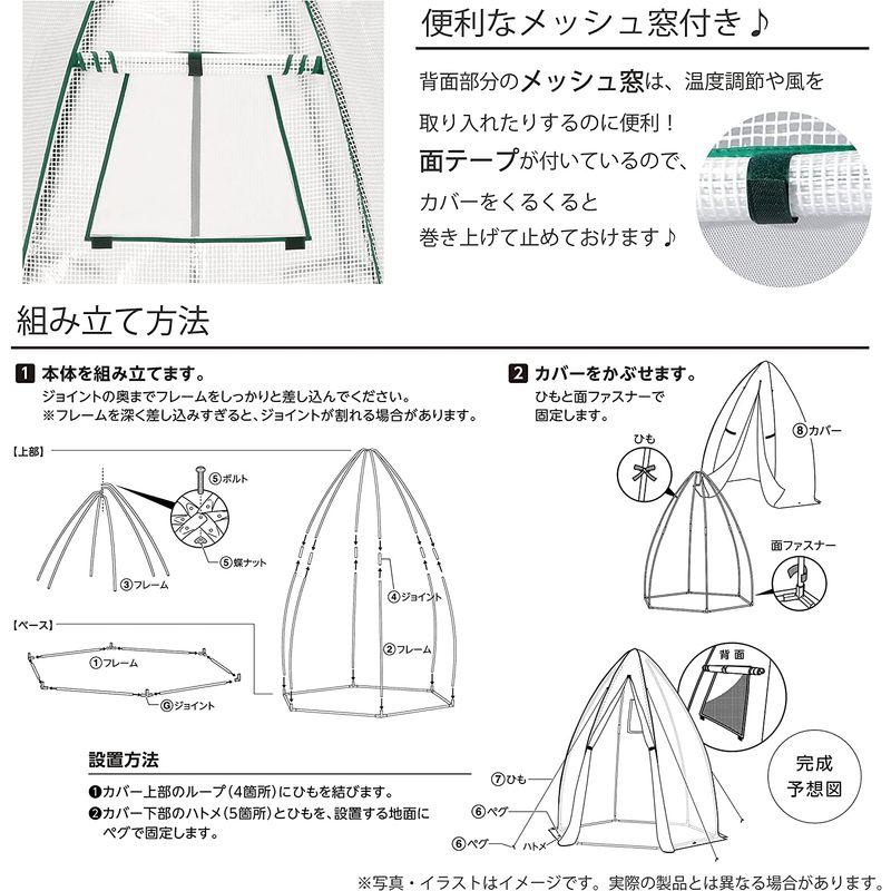 武田コーポレーション　温室・ビニールハウス・園芸グリーン　160×160×183cm　コーン温室　KOST160