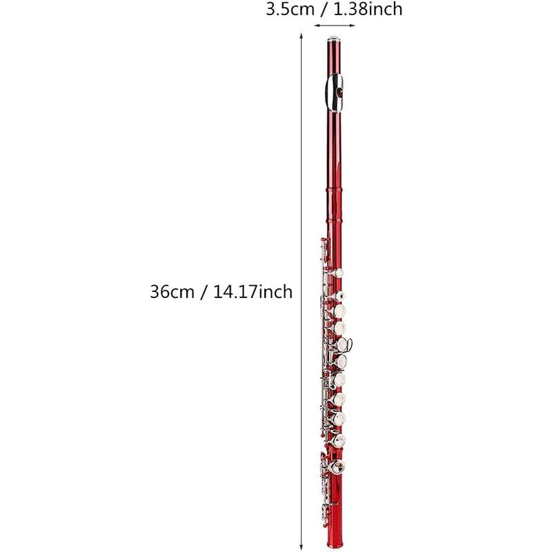 Sxhlseller 16ホールフルート、家庭用屋外学校用フルート学生