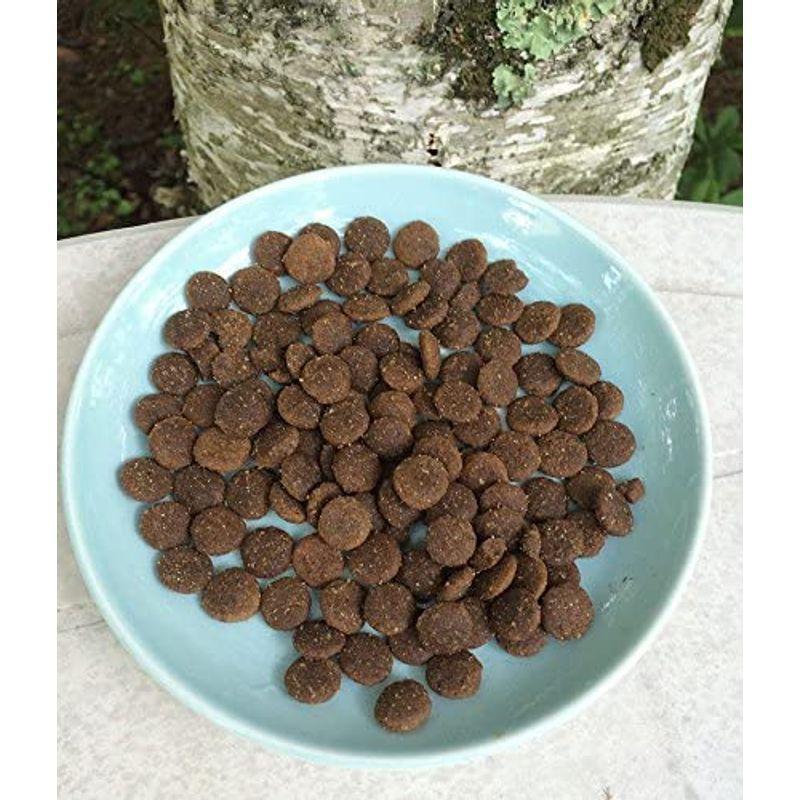 数量限定 クプレラ ホリステイック グレインフリー 9.08kg 【1680879734】(10069円)