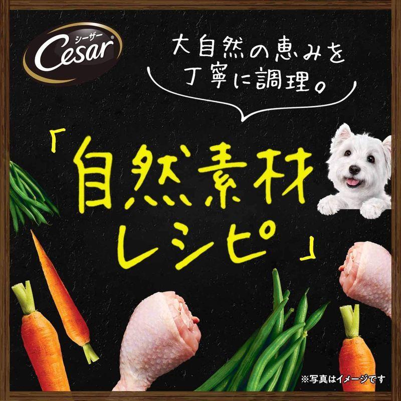 シーザー ドッグフード 自然素材レシピ 14歳からの 平飼いチキン&さつまいも・いんげん 85グラム (x 112) (ケース販売) ドッグフード 自然素材レシピ 14歳からの 平飼いチキン&さつまいも いんげん 85グラム ケース販売