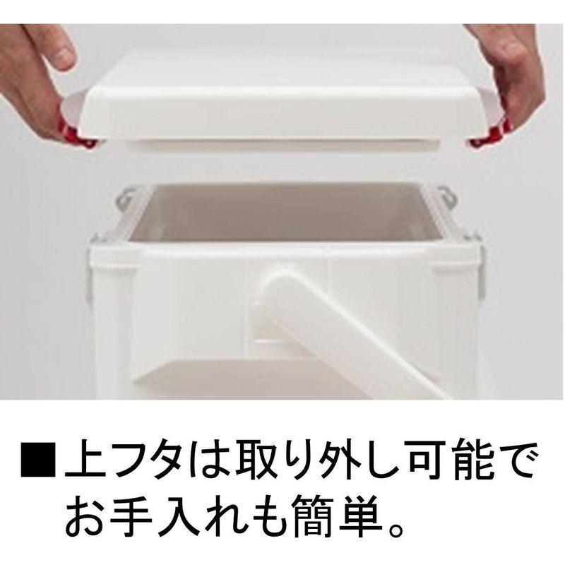 ダイワ(DAIWA) クーラーボックス クールラインα VS1500 ゴールド 釣り 小型 15リットル ゴールド DAIWA クーラーボックス クールラインα VS1500 釣り 小型 15リットル cm 500mlペットボトル