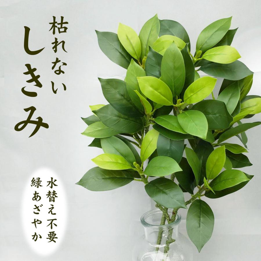 枯れないしきみ 2本組セット 屋内用 1対 コウバナ シキミ シキビ