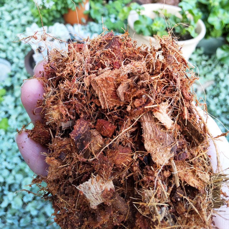 天然 ココナッツ 圧縮ココピート プランター用 軽い土 ヤシガラ 観葉