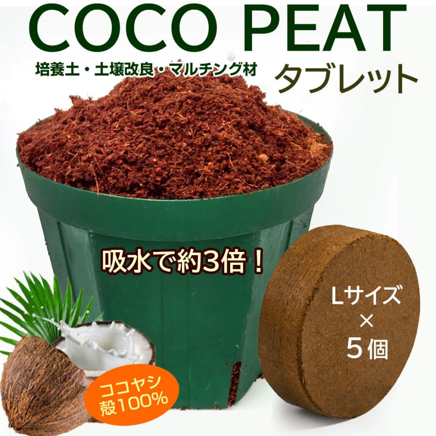 天然素材 ココナッツ 圧縮ココタブレット L 植木鉢用 5個 ココピート