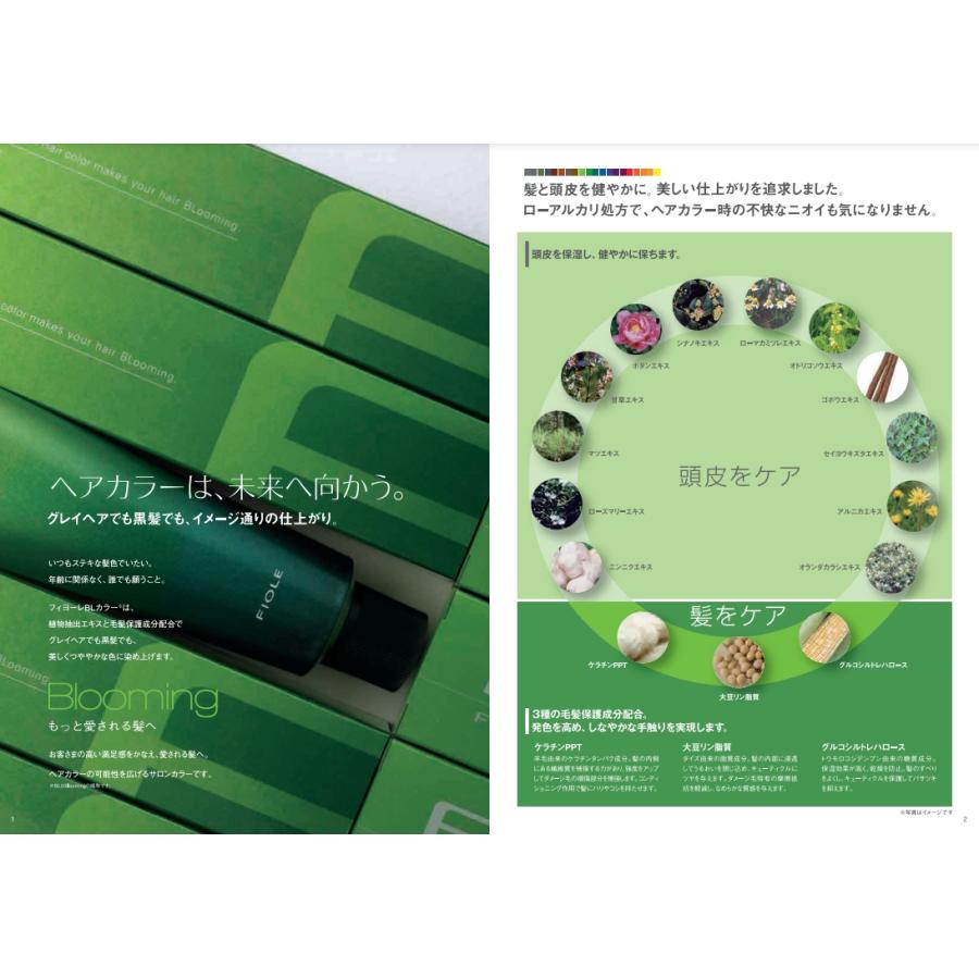 FIOLE（フィヨーレ） BLカラー 7GA 120g (FIOLE ヘアカラー剤 1剤