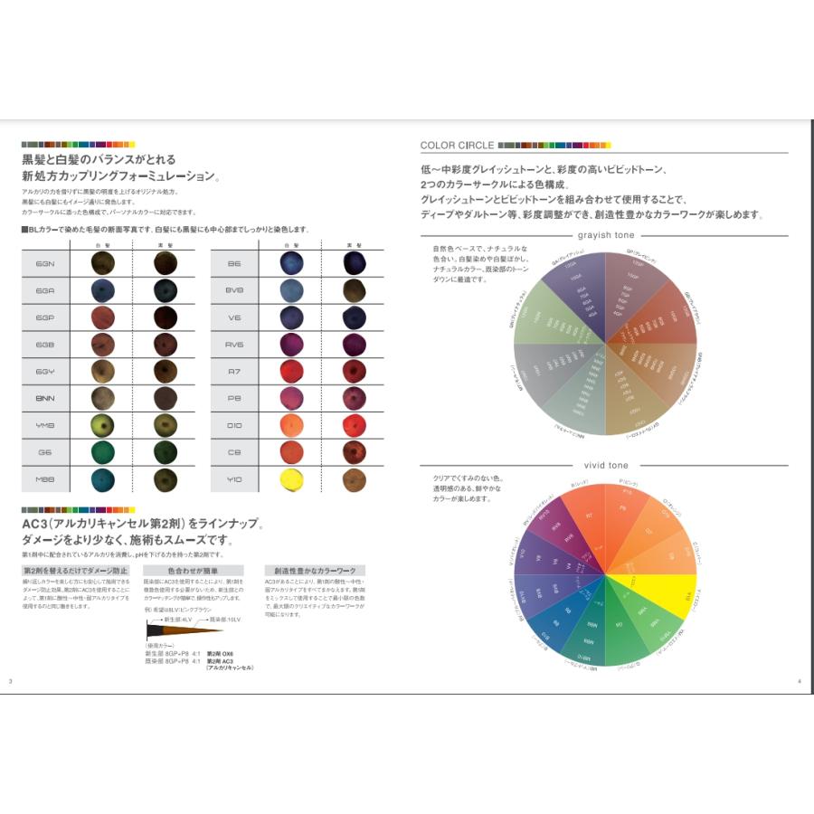 BL Color フィヨーレ BLカラー RV8 120g (FIOLE ヘアカラー剤 1剤