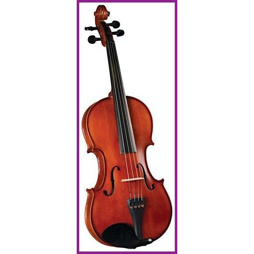 Cervini Viola - Acoustic, Traditional Red (HVA-150)【並行輸入品】 ビオラ