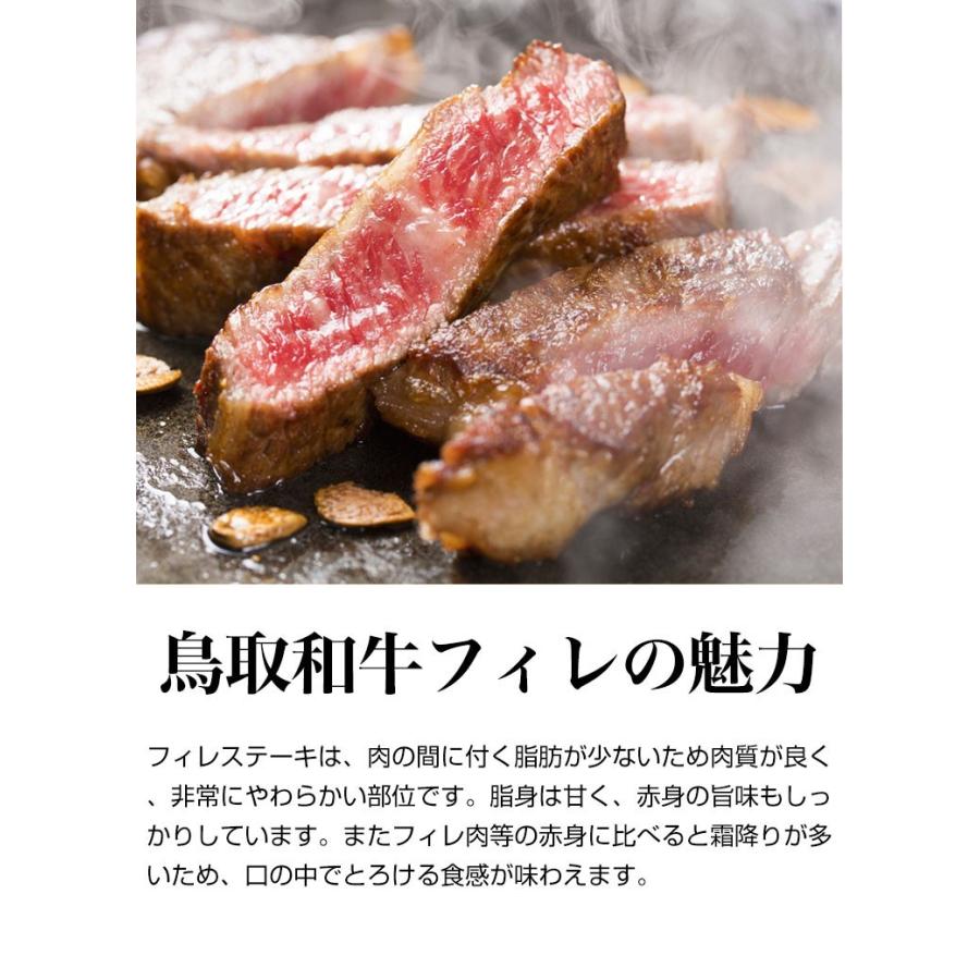 鳥取和牛 フィレ ステーキ ヒレ 500g 和牛 黒毛和牛 牛肉 A5 ヒレ肉 A5ランク牛 ヒレステーキ 和牛ステーキギフト 内祝い 牛 バーベキュー キャンプ Nk01 鳥取の土産 特産品直売所 大山望 通販 Yahoo ショッピング