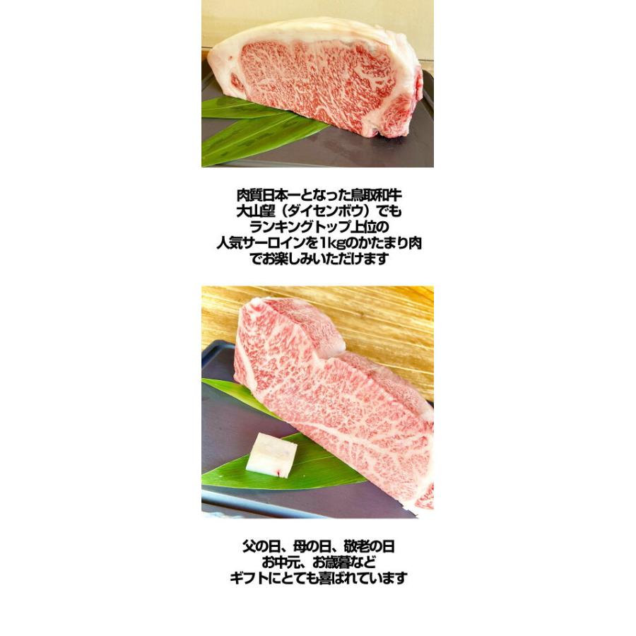 送料無料 鳥取和牛 サーロインステーキ ブロック 1kg ステーキ 厚切り かたまり肉 黒毛和牛 国産 牛肉 お肉 ステーキ q バーベキュー アウトドア キャンプ Nk45 鳥取の土産 特産品直売所 大山望 通販 Yahoo ショッピング