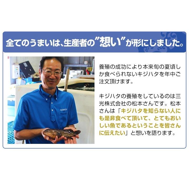 数量限定 幻の 高級魚 キジハタ 3尾 魚 お魚 さかな 鮮魚 刺身 煮つけ 煮付け 煮付 につけ アコウ アコウダイ あら汁 に バーベキュー キャンプ Zf01 鳥取の土産 特産品直売所 大山望 通販 Yahoo ショッピング