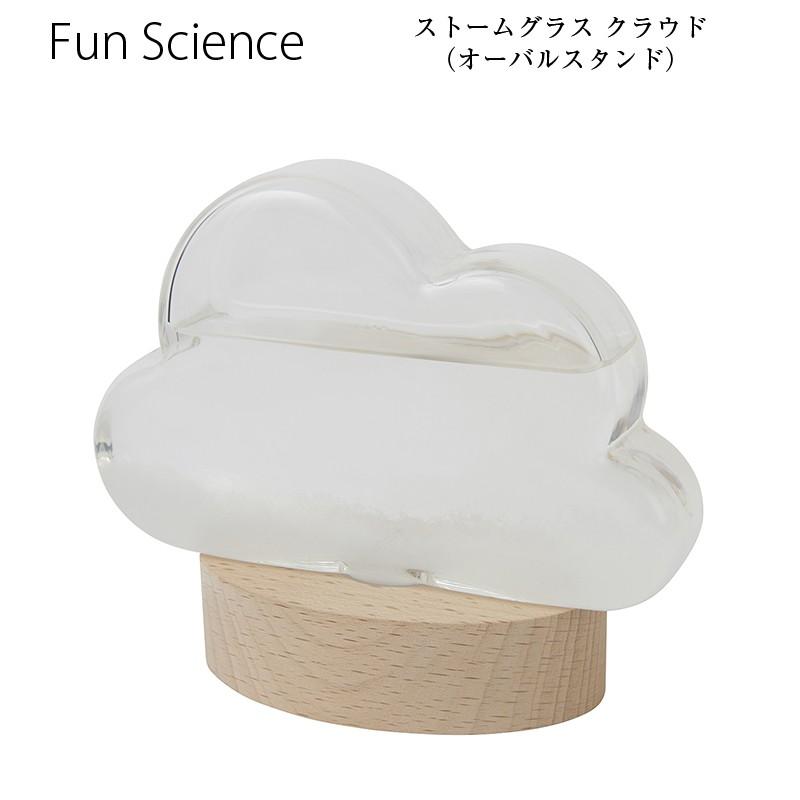 Fun Science（ファン・サイエンス） インテリア小物 置物 ストーム