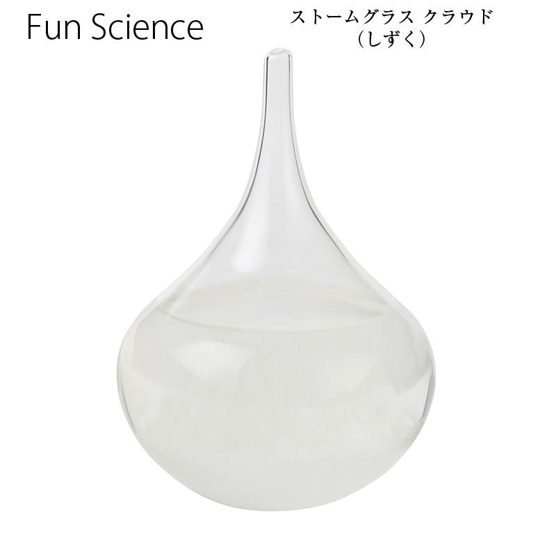 Fun Science（ファン・サイエンス） インテリア小物 置物 ストーム
