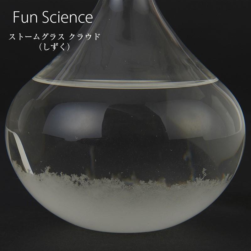 Fun Science（ファン・サイエンス） インテリア小物 置物 ストーム