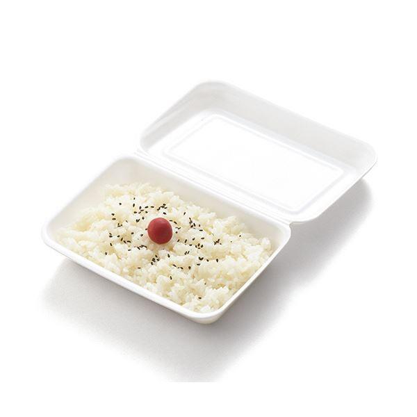 （まとめ）リスパック 発泡嵌合パック 中RLBE800 1パック（50枚）〔×10セット〕