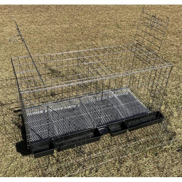 大型 鳥かご バードケージ 鳥籠 高さ650×幅1200×奥行500mm 烏骨鶏 鶏