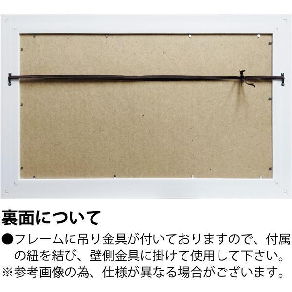 ユーパワー エイジア・イェンセン Gel加工 アートフレーム 「ロウズ オブ グラス フラワーズ」の画像