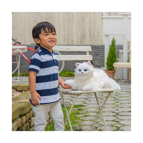 デジレクト しっぽふりふり あまえんぼうねこちゃん アイスグレー dgrt67831の画像
