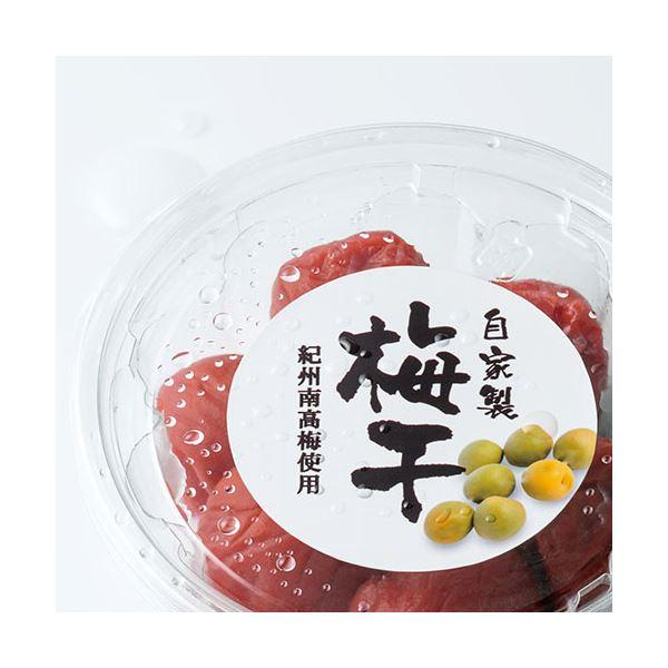 まとめ） エーワン ラベルシール[インクジェット]超耐水光沢紙