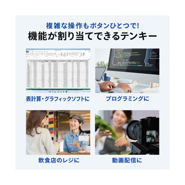 サンワサプライ プログラマブルテンキー 有線モデル NT-26UBK