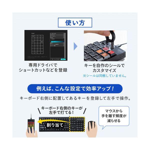 サンワサプライ プログラマブルテンキー 有線モデル NT-26UBK
