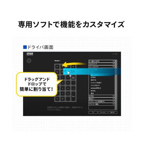 サンワサプライ プログラマブルテンキー 有線モデル NT-26UBK