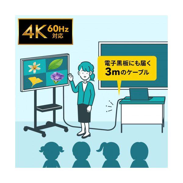 サンワサプライ USB20Gbps Type-Cケーブル PD60W 3m ブラック KU