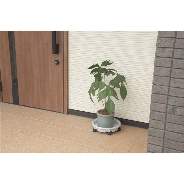 14台セット〕 まとめ売り 鉢受プレート 直径29cm モカアイボリー 