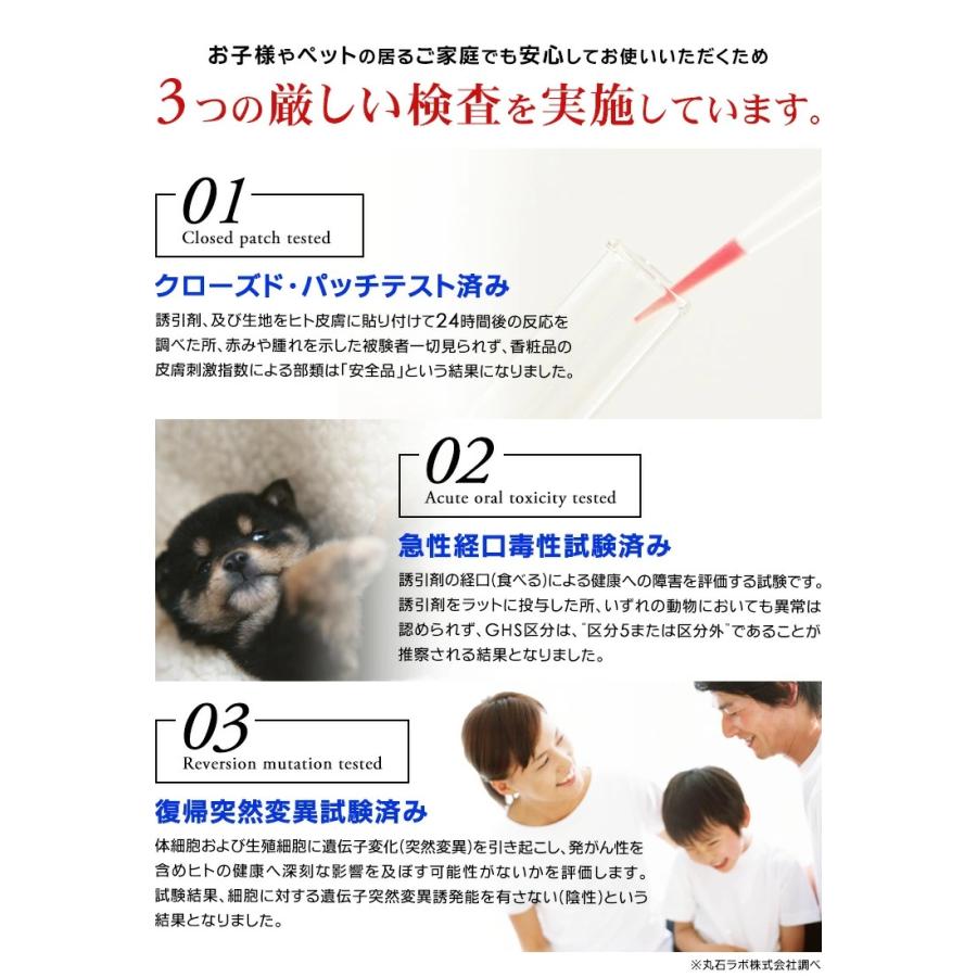 ダニピタ君 2箱(5枚入) ダニピタ君（5枚入り）日本製 効果期間3ヵ月 1日約12円 ダニ捕りシート