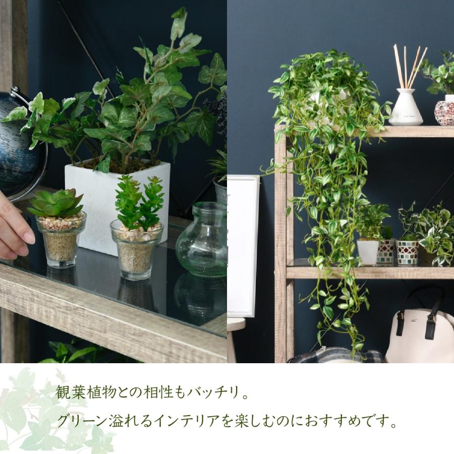 ボタニカル 花台 鉢置き台 ラック 3段 フラワースタンド 古材 ガラス