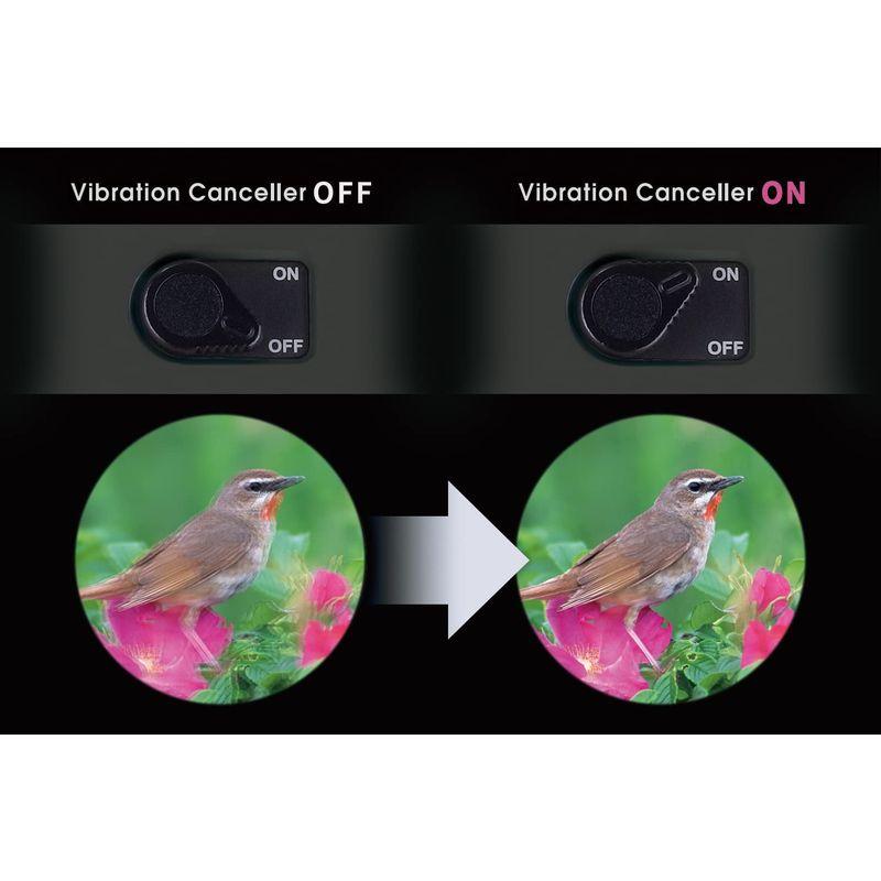 新品未使用！ ビクセン(Vixen) 双眼鏡 アテラ ATERA II H12x30 A 防振双眼鏡 (セット内容:本体・ストラップ) 11514 チャコ 【O1134552281】(41007円)