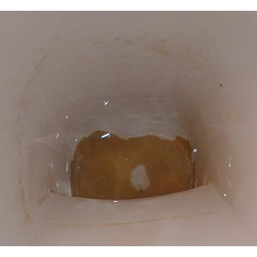 和協産業尿石除去剤 業務用 デオライト-L 1kg |  | 04