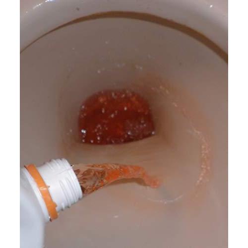 和協産業尿石除去剤 業務用 デオライト-L 1kg |  | 05