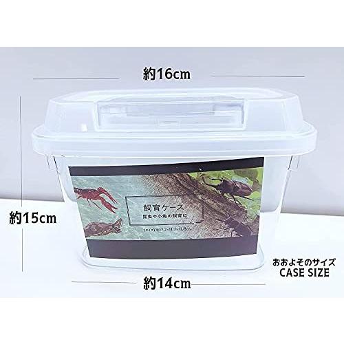 小さいカメ 亀 虫かご 飼育ケース おしゃれ透明ホワイト カメのエサ55g 汚れを吸着してコケを抑制 キレイな水質を保つ石150g ゼオライト S Shop Erfolg 通販 Yahoo ショッピング