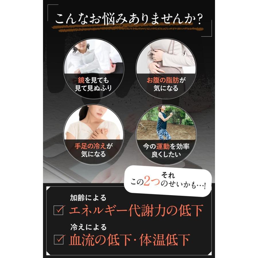 スリリンファイア SLILIN F 90粒】 温活 脂肪燃焼 皮下脂肪 スリリンファイア SLILIN F 90粒】 温活 脂肪燃焼 皮下脂肪