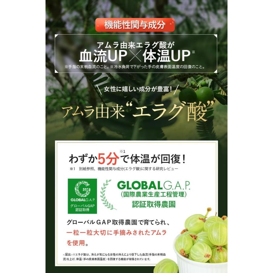 スリリンファイア SLILIN F 90粒】 温活 脂肪燃焼 皮下脂肪 スリリンファイア SLILIN F 90粒】 温活 脂肪燃焼 皮下脂肪