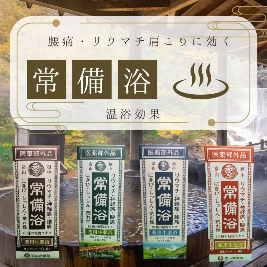 常備浴 全4セット 富山常備薬 薬用入浴剤 大容量400mL(20回分) 液体