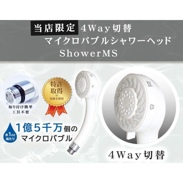 正規販売店・保証付 当店限定 micro-bub(マイクロバブ) 4Way切替