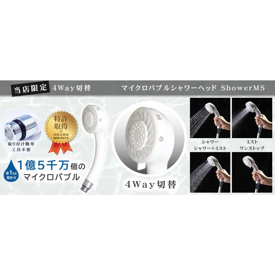 正規販売店・保証付 当店限定 micro-bub(マイクロバブ) 4Way切替