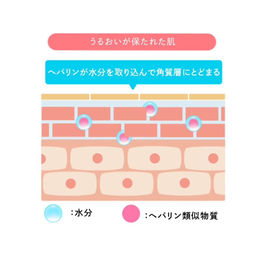 エバメール 正規品 日本製 光潤水プレミアム化粧水 180ml : SHOP