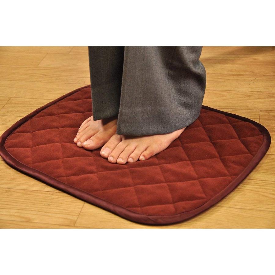 東京西川 西川産業 あったかパッド ミニ 45x35cm レッドブラウン Edv Shop Frontier 通販 Yahoo ショッピング