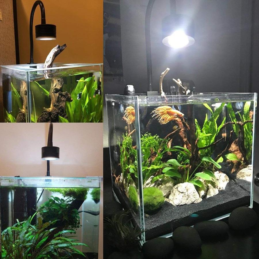 アクアリウム ライト Led Asta 小型水槽 淡水 小粋なシステム 照明 調光可能 熱帯魚 水草育成 グースネック式 Shop Frontier 通販 Yahoo ショッピング
