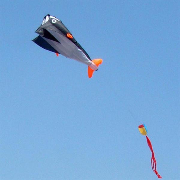ブラック イルカ凧 イルカカイトサーフィンスタントカイトパワーカイト｜shop-fukumaru｜02