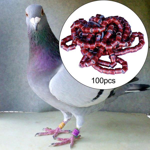 100x 鳩足バンド 耐久性のある鳥鳩脚リング ラヴバード アヒル 家禽 コーヒー用｜shop-fukumaru｜03