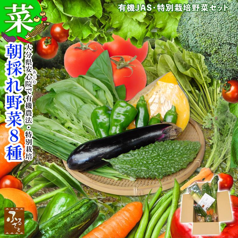 安心院 朝採れ野菜 おまかせ8種セット 有機JAS4種以上 冷蔵 + 特別栽培野菜 激安卸販売新品 予約販売 詰め合わせ